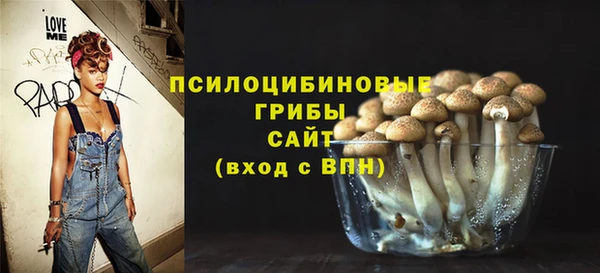 ПСИЛОЦИБИНОВЫЕ ГРИБЫ Бородино
