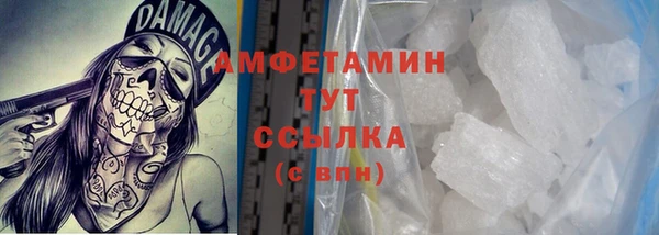 ПСИЛОЦИБИНОВЫЕ ГРИБЫ Бородино