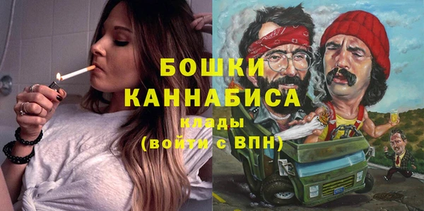 ПСИЛОЦИБИНОВЫЕ ГРИБЫ Бородино