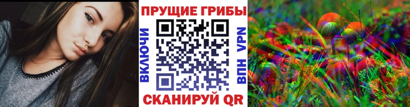 Галлюциногенные грибы GOLDEN TEACHER  Купить где  Юхнов 